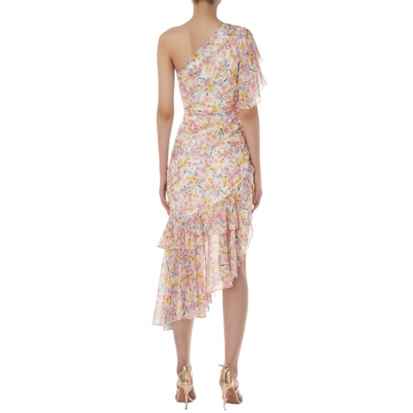 Amur - Clayton Floral One-Shoulder Dress Sz 0 - Picture 3 of 10